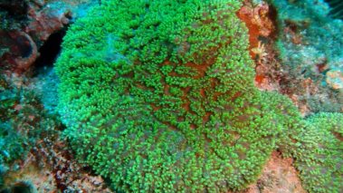 طراحی یک روش نوین گازرسانی به مناطق دور دست و روستاهای دورافتاده